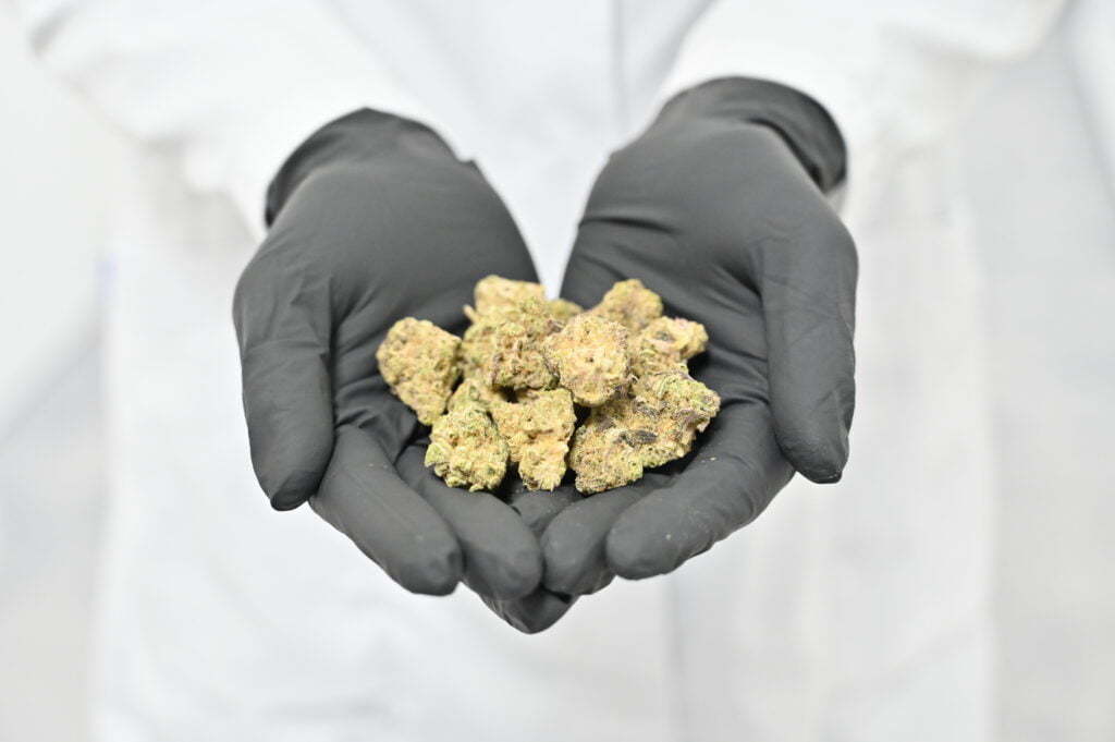 Potential benefits of medical cannabis