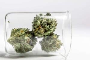 Laws around medical cannabis