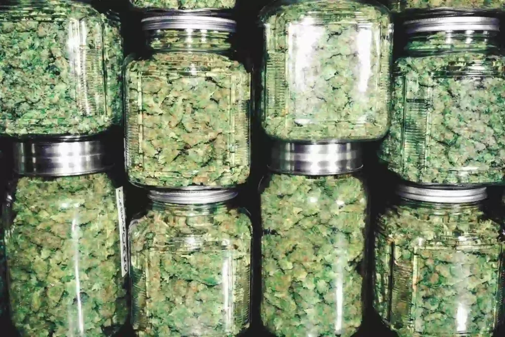 thc vs cbd medizinisches cannabis