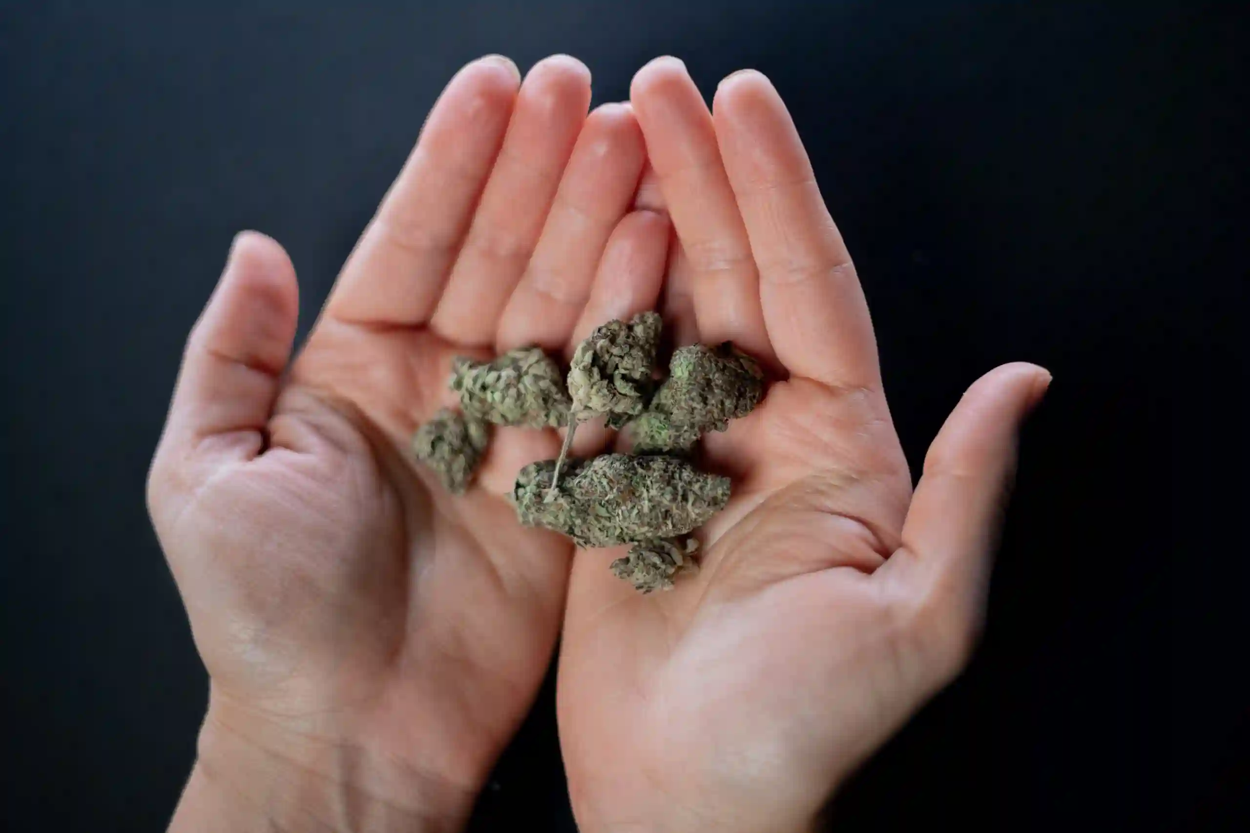 Was ist eine Cannabisblüte?
