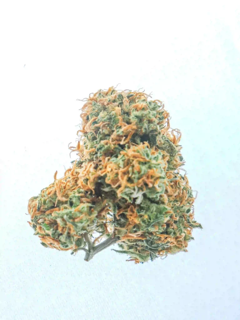 sorte white widow sorte white widow