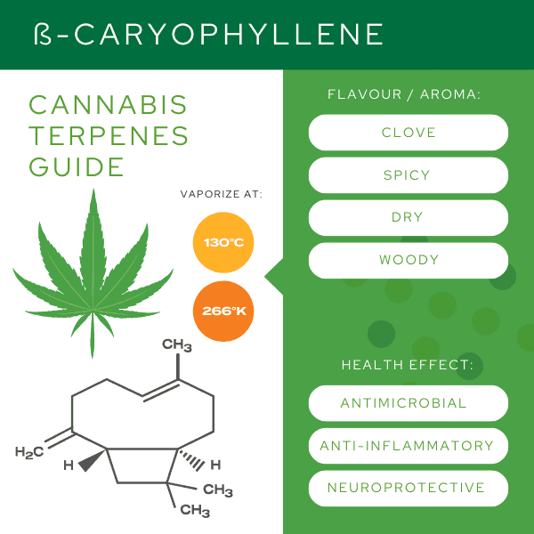 Mycannabis Terpenes Caryophyllene