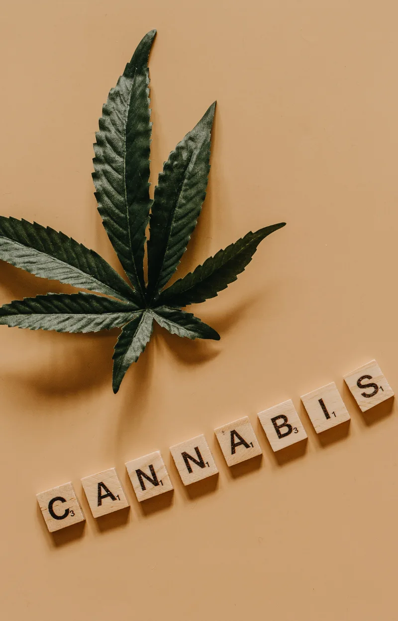 macht_cannabis_suechtig
